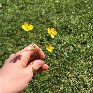 Meet your Posher, Hanna